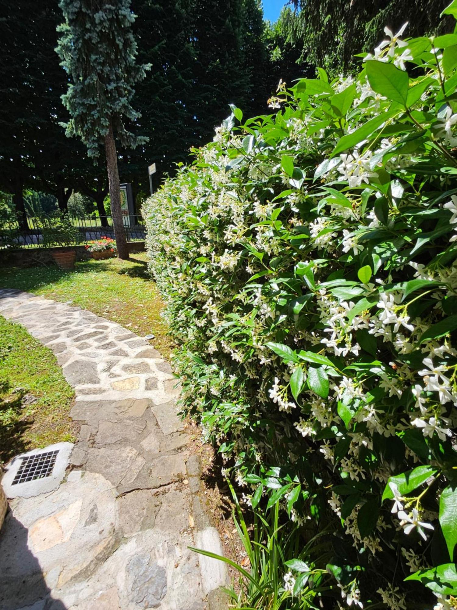 B&B Casa Tessieri Lucca Eksteriør billede