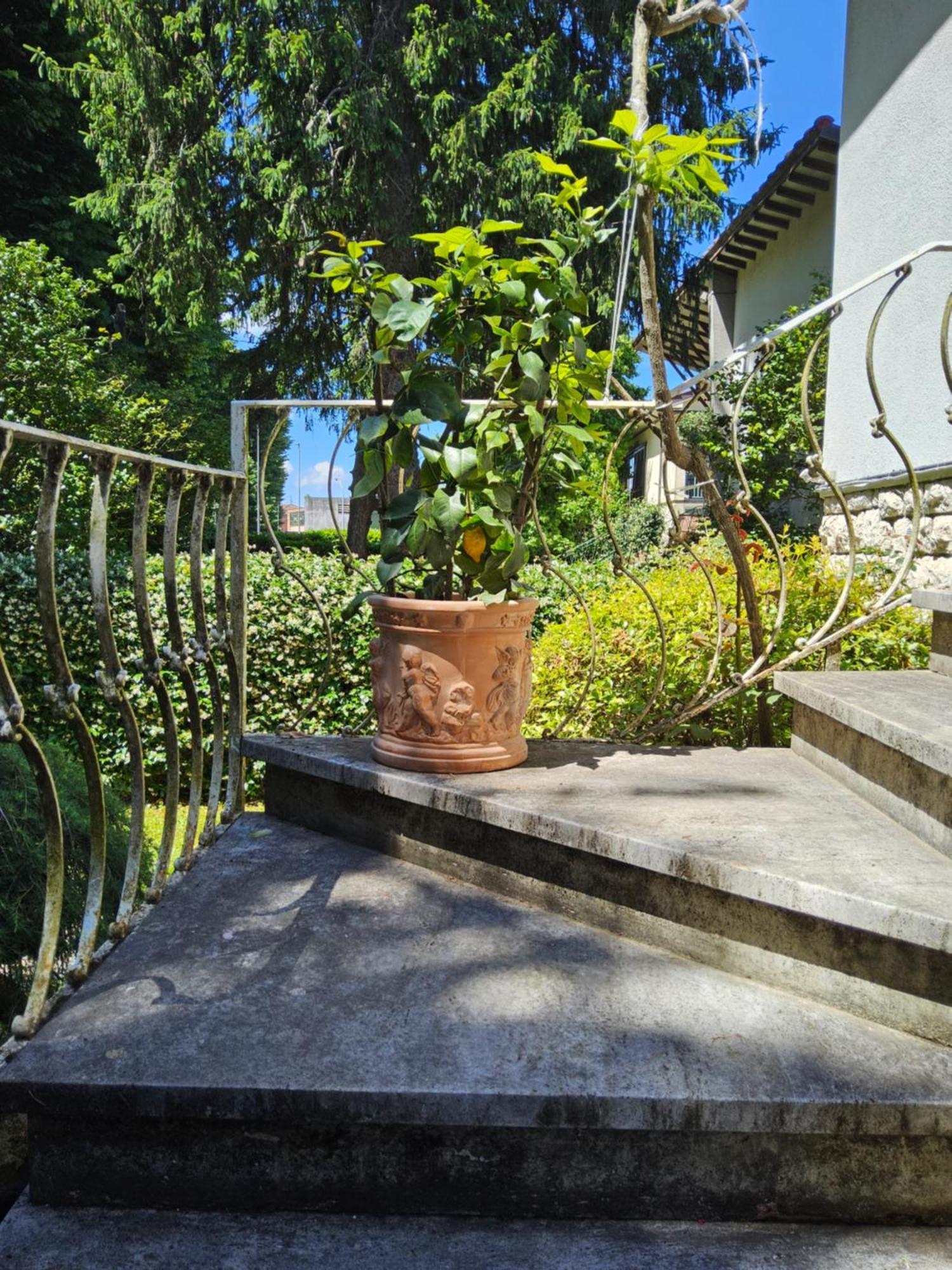 B&B Casa Tessieri Lucca Eksteriør billede