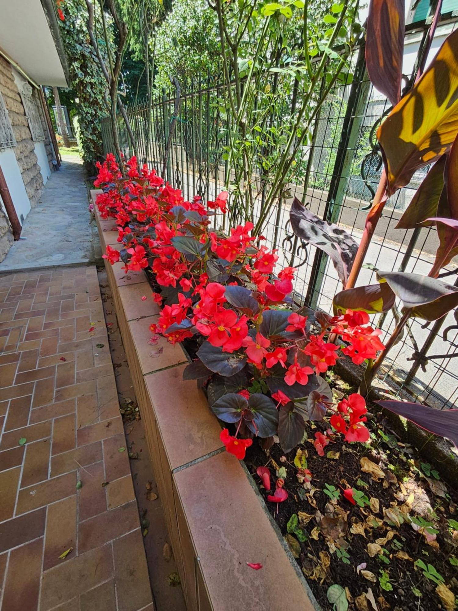 B&B Casa Tessieri Lucca Eksteriør billede
